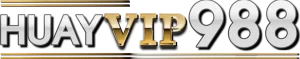 huayvip998